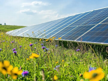 Why solar?