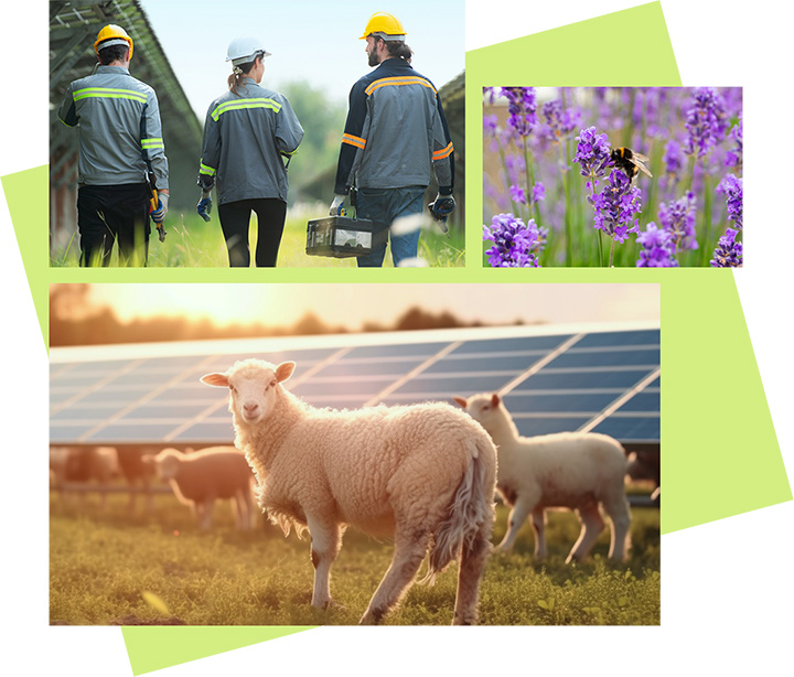 Collage of images showing the ecological benefits of solar power.